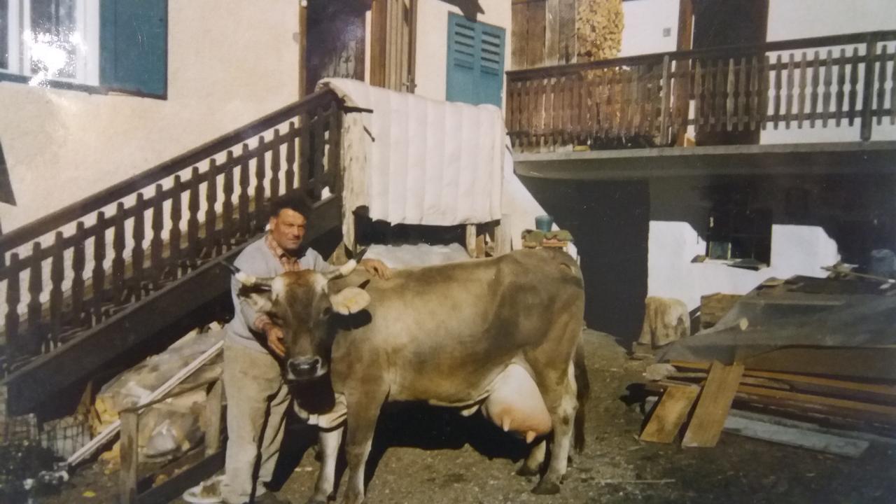 Majon De La Nona Hotel Pozza di Fassa Exterior foto